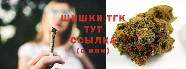 амф Аркадак