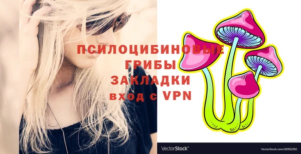 амф Аркадак