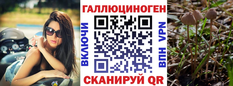 Псилоцибиновые грибы GOLDEN TEACHER  Козьмодемьянск 
